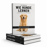 Ebook Hunde Sommer
