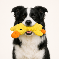 FellFreund Anti-Stress-Ente