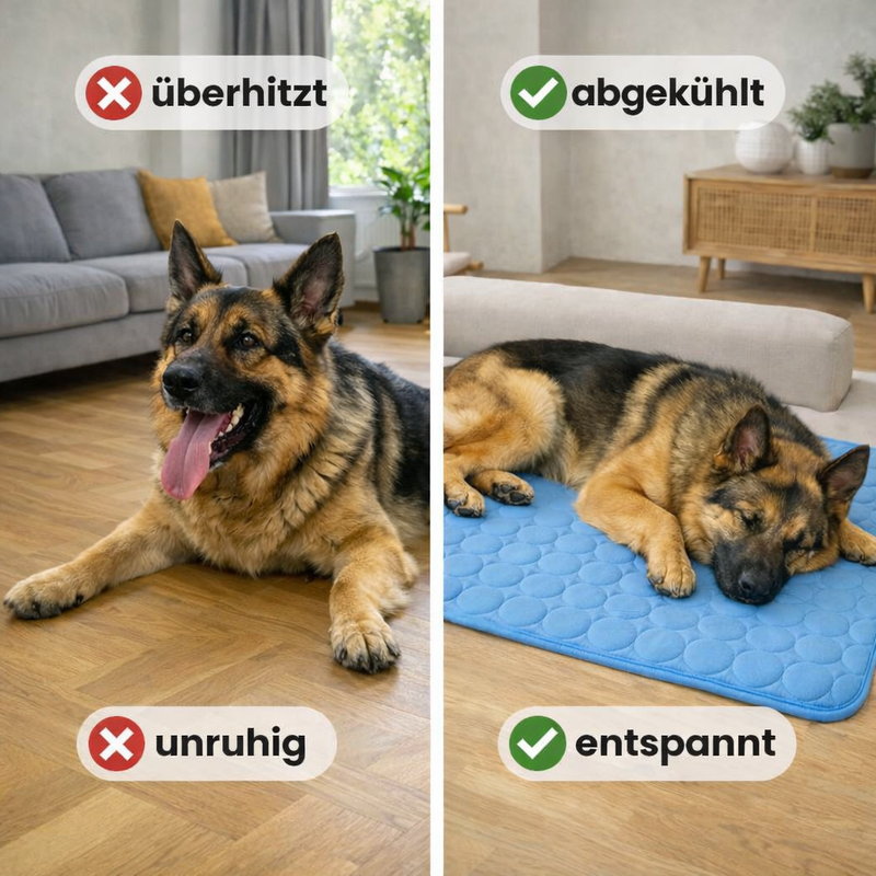 FellFreund Kühlmatte für Hunde