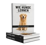 E-Book